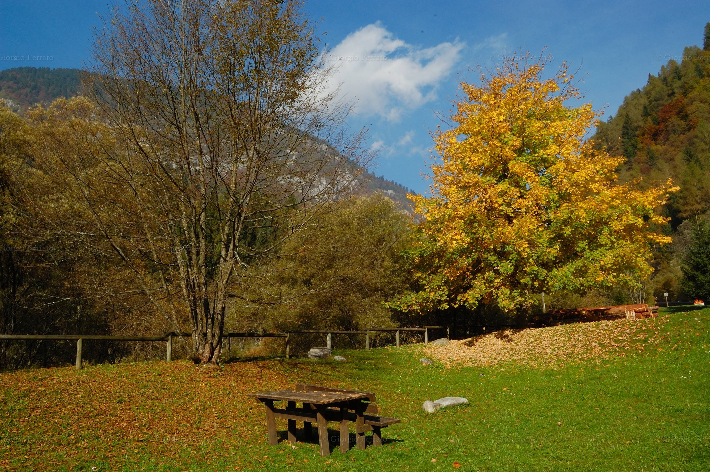 I colori dell'autunno