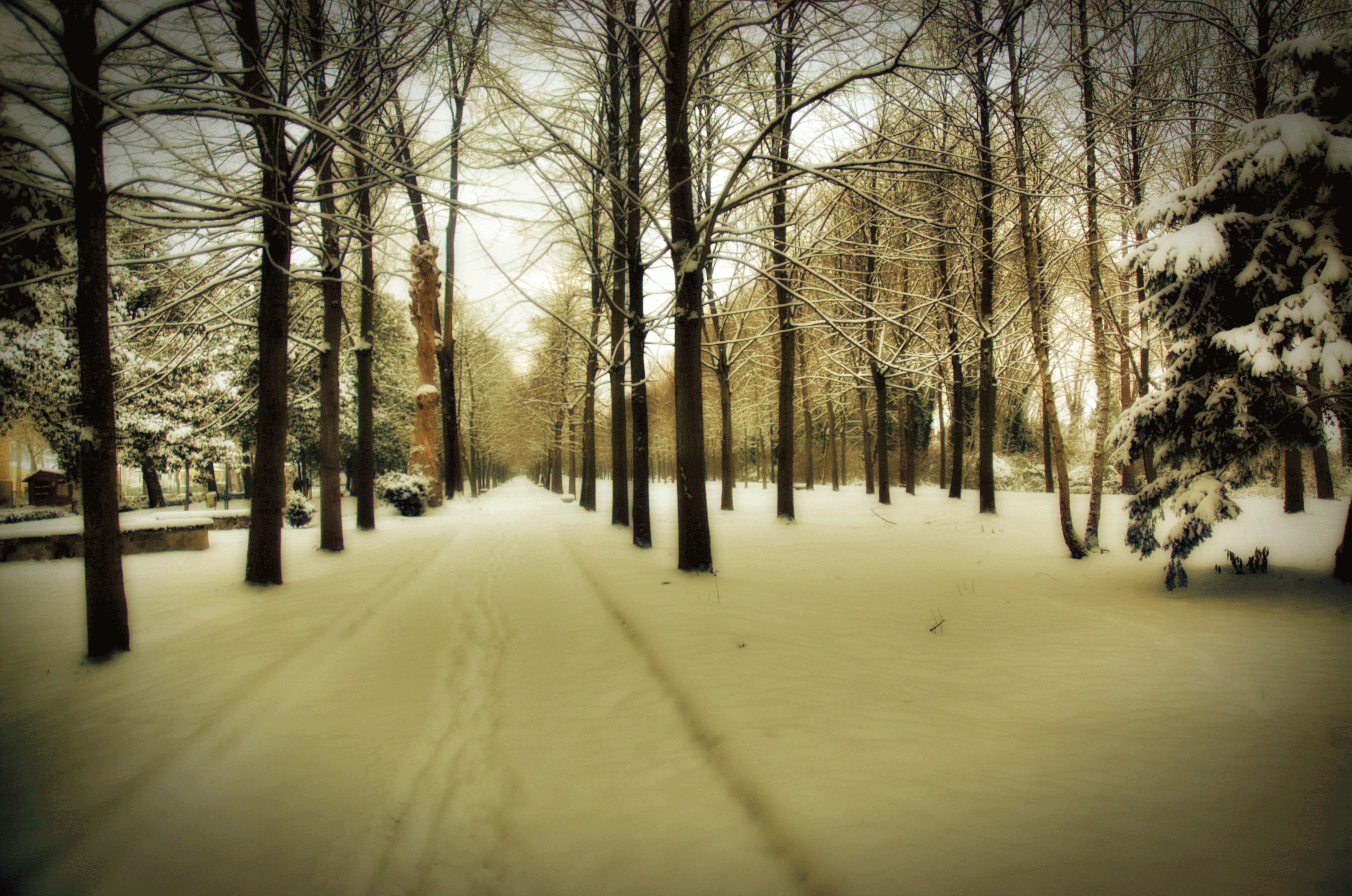 La grande nevicata del Gennaio 1963