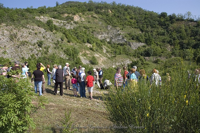 Località Cava Bomba di Cinto Euganeo (PD), inizia la liberazione dei rapaci