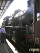 Il treno a vapore nelle Dolomiti 