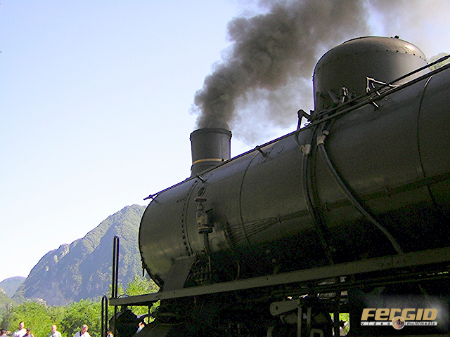 Il treno a vapore nelle Dolomiti 